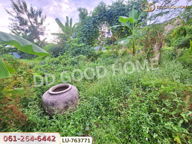 ที่ดินหมู่บ้านปั้นทอง 3 30 ตร.ว. บางเขน ใกล้เซ็นทรัลรามอินทรา-6