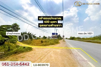 ที่ดินคลองหลวง 2 ไร่ 25 ตร.ว. ปทุมธานี ใกล้วัดพระธรรมกาย (เช่า).-2