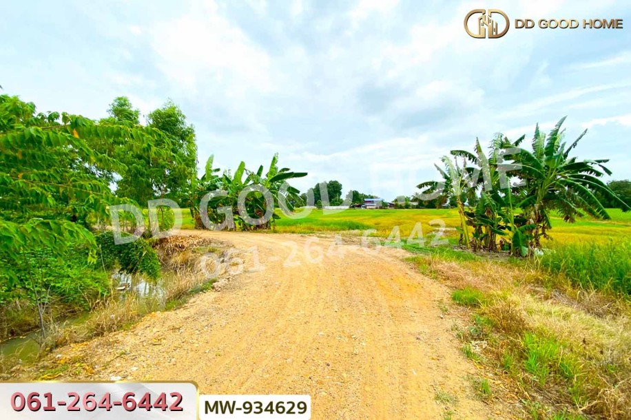 ที่ดินแสวงหา 5 ไร่ 337 ตร.ว. อ่างทอง ใกล้วัดบ้านพราน-7