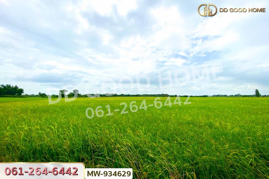 ที่ดินแสวงหา 5 ไร่ 337 ตร.ว. อ่างทอง ใกล้วัดบ้านพราน-6