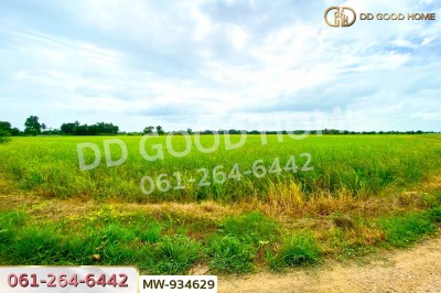 ที่ดินแสวงหา 5 ไร่ 337 ตร.ว. อ่างทอง ใกล้วัดบ้านพราน