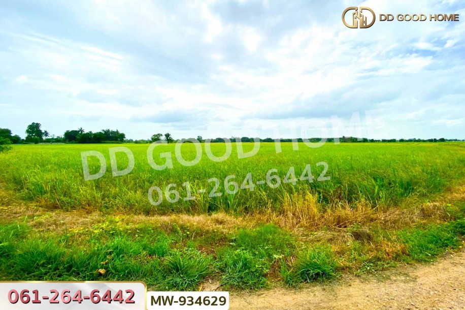 ที่ดินแสวงหา 5 ไร่ 337 ตร.ว. อ่างทอง ใกล้วัดบ้านพราน-5