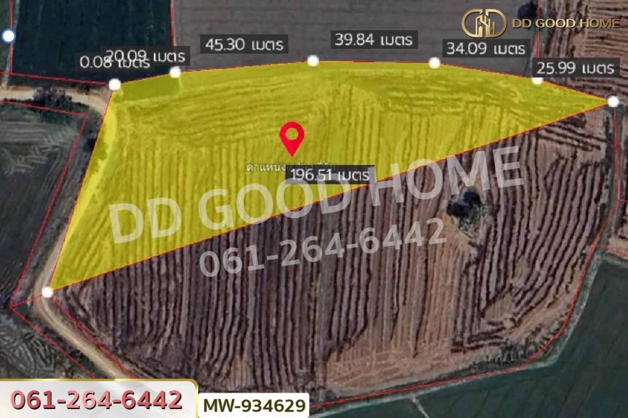 ที่ดินแสวงหา 5 ไร่ 337 ตร.ว. อ่างทอง ใกล้วัดบ้านพราน-4