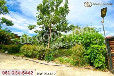 ที่ดินพร้อมสิ่งปลูกสร้างหัวไผ่ 1 ไร่ 78.7 ตร.ว. อ่างทอง ใกล้โรงเรียนวัดเชิงหวาย-10