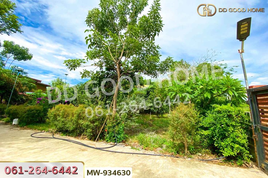 ที่ดินพร้อมสิ่งปลูกสร้างหัวไผ่ 1 ไร่ 78.7 ตร.ว. อ่างทอง ใกล้โรงเรียนวัดเชิงหวาย-10