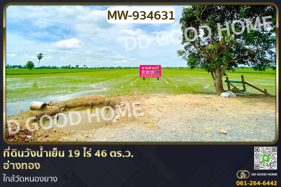 ที่ดินวังน้ำเย็น 19 ไร่ 46 ตร.ว. อ่างทอง ใกล้วัดหนองยาง-1