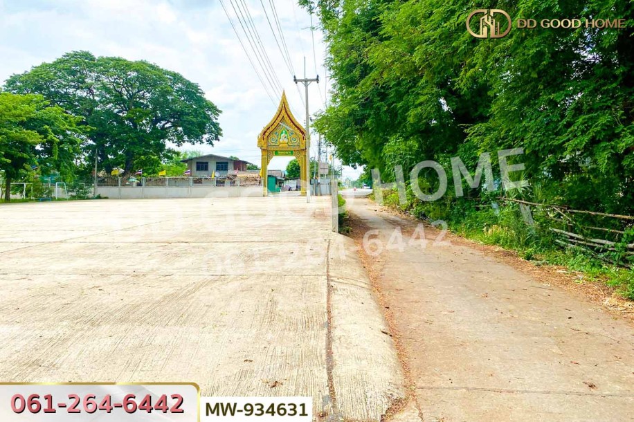 ที่ดินวังน้ำเย็น 19 ไร่ 46 ตร.ว. อ่างทอง ใกล้วัดหนองยาง-7