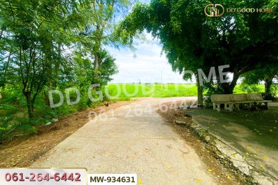 ที่ดินวังน้ำเย็น 19 ไร่ 46 ตร.ว. อ่างทอง ใกล้วัดหนองยาง-6
