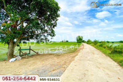 ที่ดินวังน้ำเย็น 19 ไร่ 46 ตร.ว. อ่างทอง ใกล้วัดหนองยาง-5
