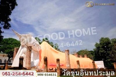 ที่ดินวังน้ำเย็น 19 ไร่ 46 ตร.ว. อ่างทอง ใกล้วัดหนองยาง-3