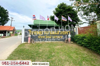 ที่ดินวังน้ำเย็น 19 ไร่ 46 ตร.ว. อ่างทอง ใกล้วัดหนองยาง-2