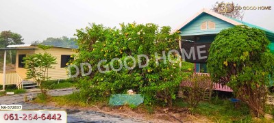 ที่ดิน อ.บางเลน 200 ตร.ว. นครปฐม-5
