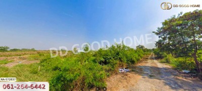ที่ดิน อ.บางเลน 200 ตร.ว. นครปฐม-4