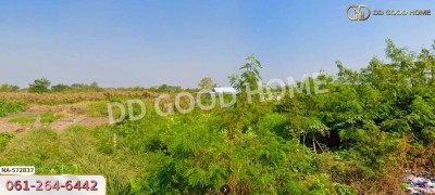 ที่ดิน อ.บางเลน 200 ตร.ว. นครปฐม-3