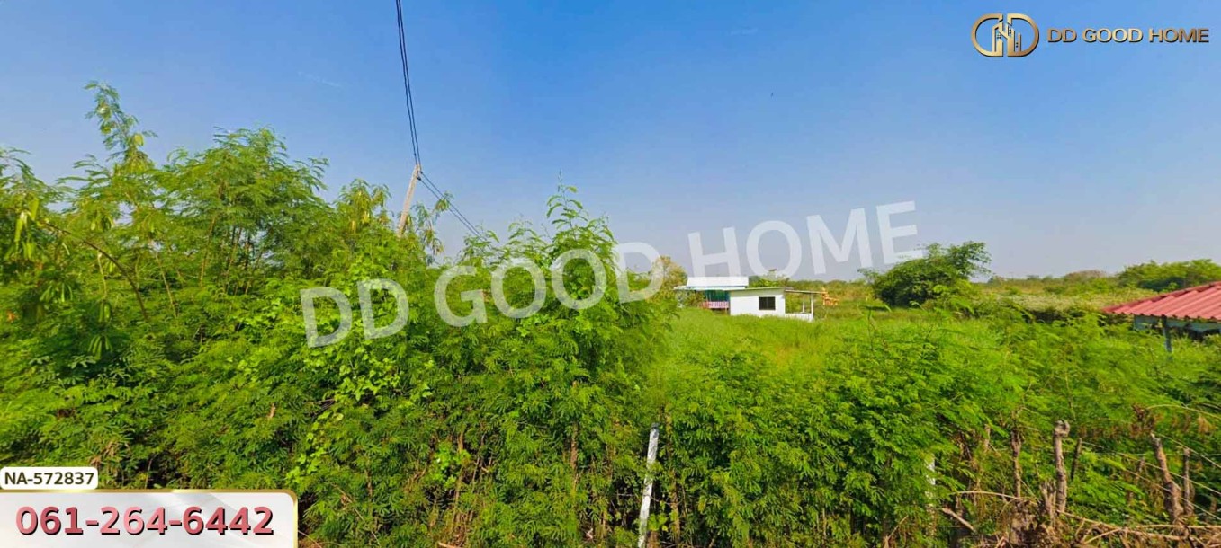 ที่ดิน อ.บางเลน 200 ตร.ว. นครปฐม-2