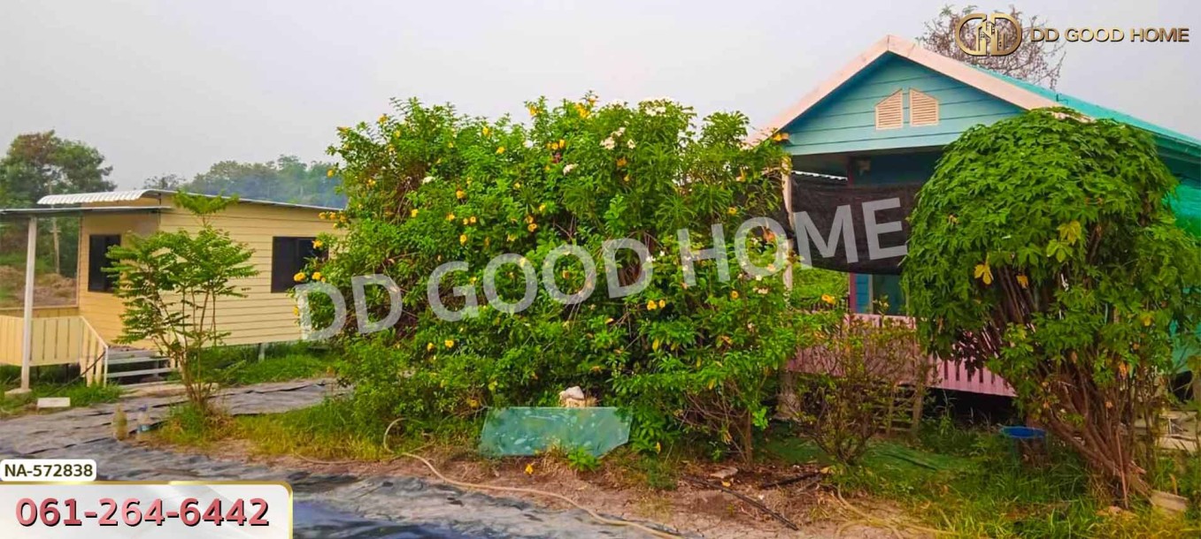 ที่ดิน อ.บางเลน 200 ตร.ว. นครปฐม-6