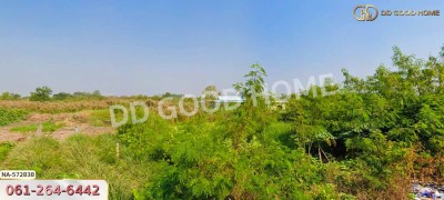 ที่ดิน อ.บางเลน 200 ตร.ว. นครปฐม-4