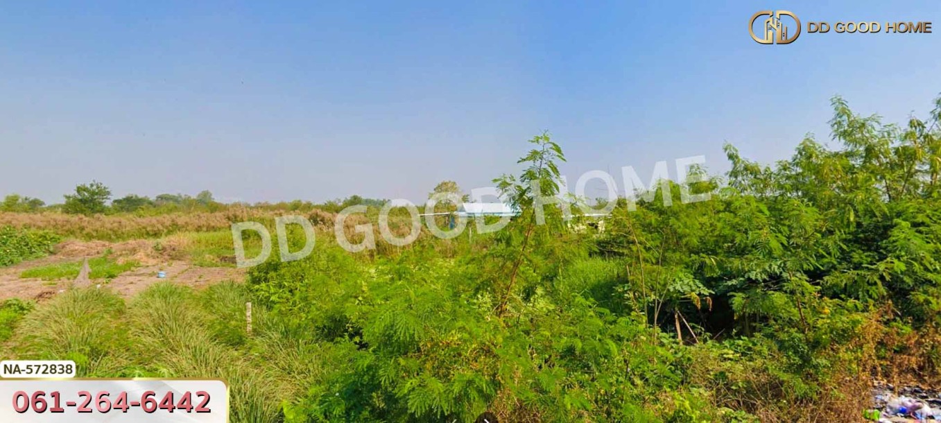 ที่ดิน อ.บางเลน 200 ตร.ว. นครปฐม-4