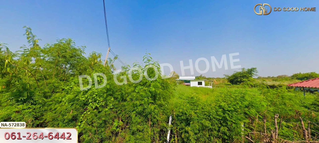 ที่ดิน อ.บางเลน 200 ตร.ว. นครปฐม-3