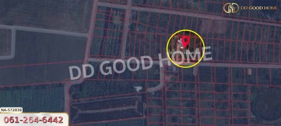 ที่ดิน อ.บางเลน 200 ตร.ว. นครปฐม-8