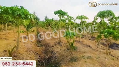 ที่ดิน อ.โพธาราม 1 ไร่ 383.2 ตร.ว. ราชบุรี-2