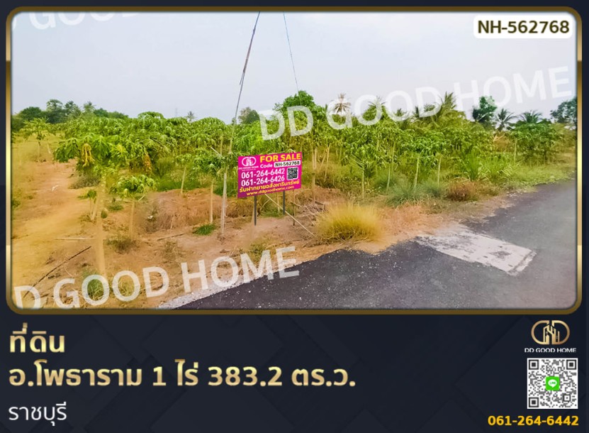 ที่ดิน อ.โพธาราม 1 ไร่ 383.2 ตร.ว. ราชบุรี-1