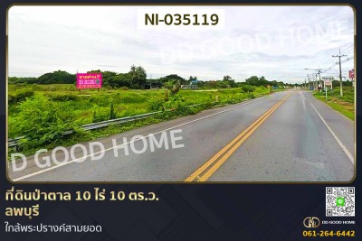 ที่ดินป่าตาล 10 ไร่ 10 ตร.ว. ลพบุรี ใกล้พระปรางค์สามยอด