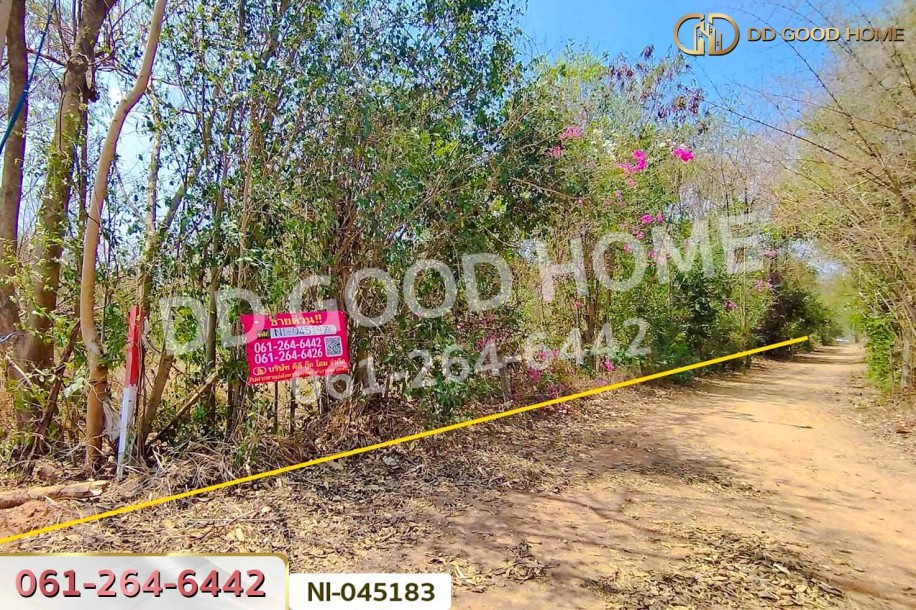 ที่ดินปากช่อง 15 ไร่ 3.44 ตร.ว. พญาเย็น นครราชสีมา ใกล้The wild เขาใหญ่-3