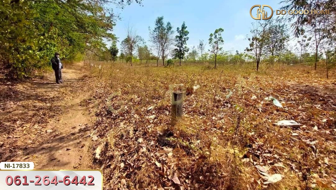 ที่ดิน อ.ท่ามะกา 11 ไร่ 248 ตร.ว. ซ.โยธาธิการ จ.กาญจนบุรี-2