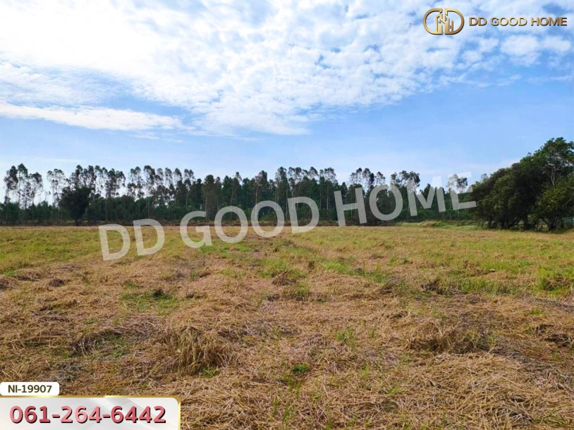 ที่ดิน อ.เมืองปราจีนบุรี 41 ไร่ 250 ตร.ว. ถ.คลองหลวงแพ่ง - ปราจีนบุรี-4