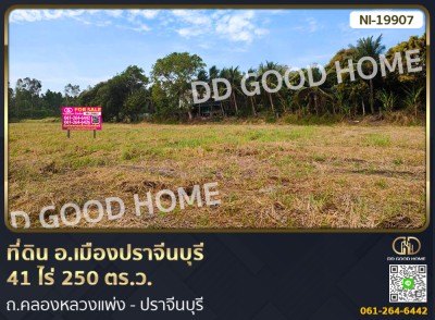ที่ดิน อ.เมืองปราจีนบุรี 41 ไร่ 250 ตร.ว. ถ.คลองหลวงแพ่ง - ปราจีนบุรี-1