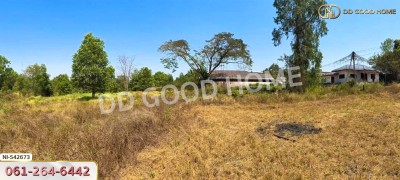 ที่ดิน อ.บุณฑริก 2 ไร่ 268 ตร.ว. อุบลราชธานี-7