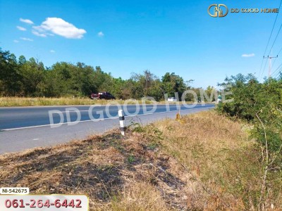 ที่ดิน อ.บัวใหญ่ 5 ไร่ 206 ตร.ว. นครราชสีมา-8