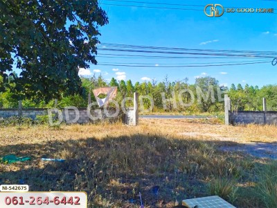 ที่ดิน อ.บัวใหญ่ 5 ไร่ 206 ตร.ว. นครราชสีมา-5