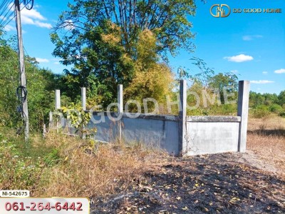 ที่ดิน อ.บัวใหญ่ 5 ไร่ 206 ตร.ว. นครราชสีมา-9