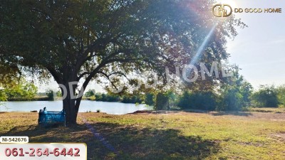 ที่ดิน อ.ประทาย 19 ไร่ 78 ตร.ว. นครราชสีมา-9