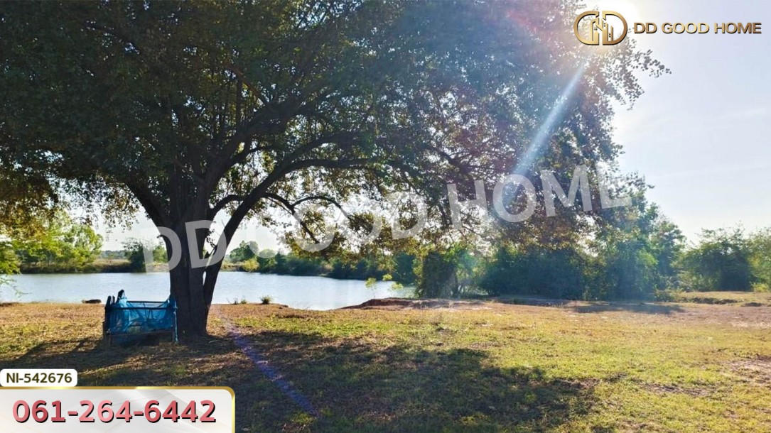 ที่ดิน อ.ประทาย 19 ไร่ 78 ตร.ว. นครราชสีมา-9
