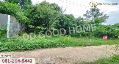 ที่ดิน แก่งคอย 65.5 ตร.ว. สระบุรี ใกล้วัดบ้านโป่ง.-2