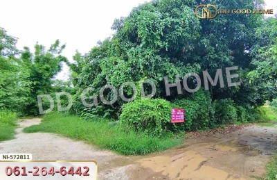 ที่ดินแก่งคอย 131 ตร.ว. สระบุรี ใกล้วัดบ้านโป่ง-3