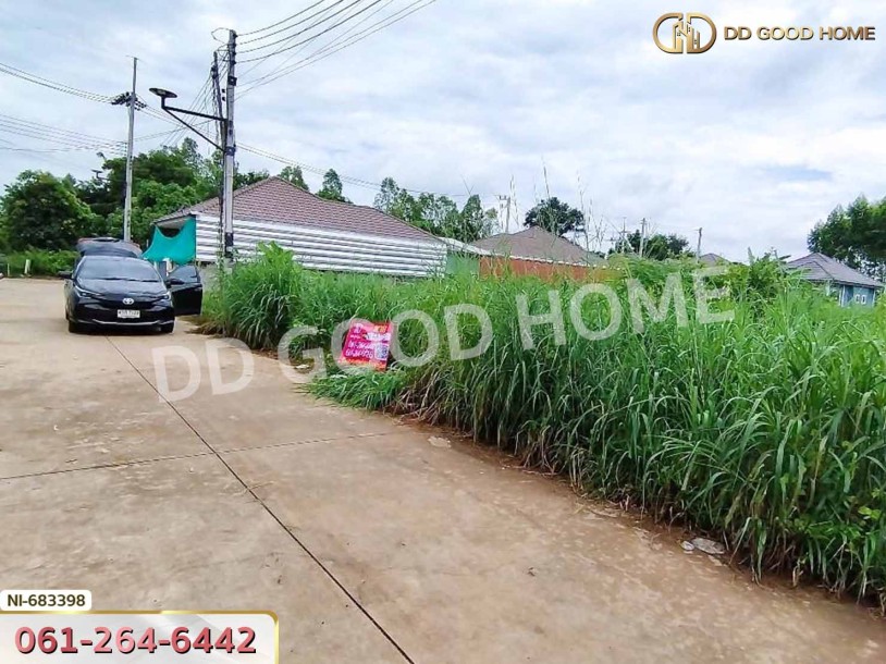 ที่ดินศรีมหาโพธิ 186 ตร.ว. ปราจีนบุรี ใกล้โรงเรียนบ้านโป่งไผ่-4