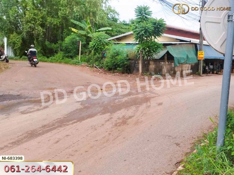 ที่ดินศรีมหาโพธิ 186 ตร.ว. ปราจีนบุรี ใกล้โรงเรียนบ้านโป่งไผ่-3