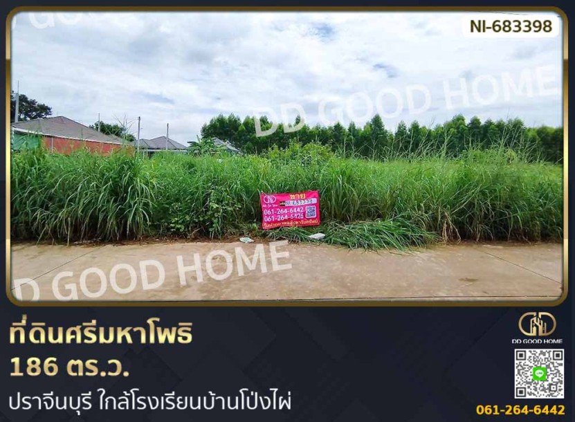 ที่ดินศรีมหาโพธิ 186 ตร.ว. ปราจีนบุรี ใกล้โรงเรียนบ้านโป่งไผ่-1
