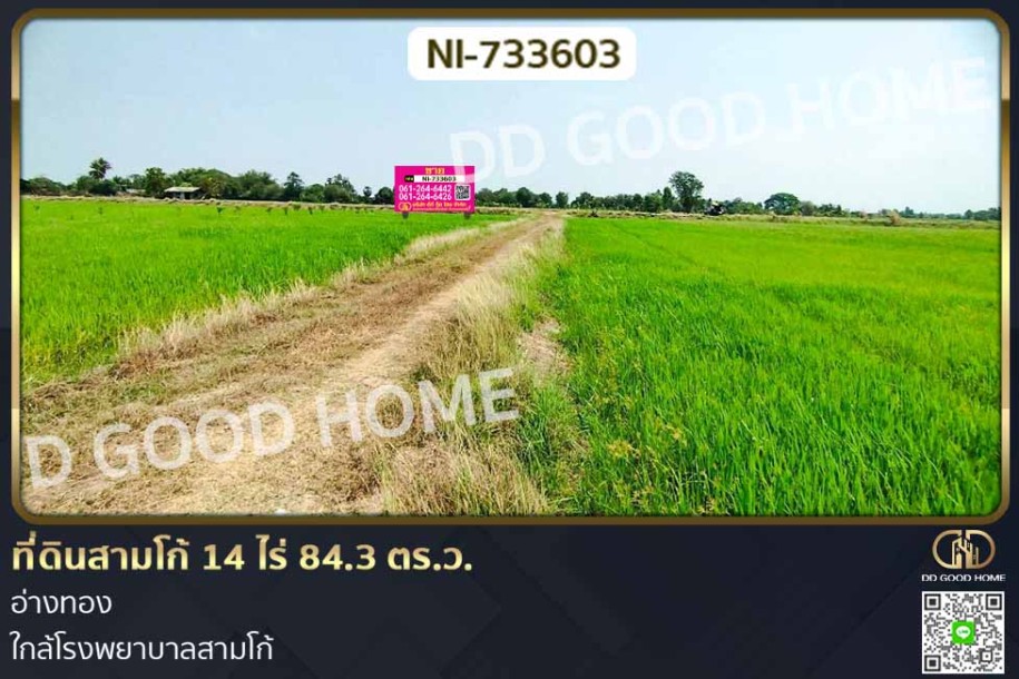ที่ดินสามโก้ 14 ไร่ 84.3 ตร.ว. อ่างทอง ใกล้โรงพยาบาลสามโก้-1