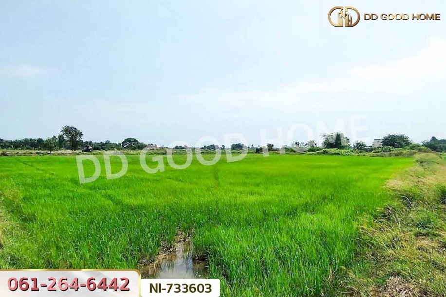 ที่ดินสามโก้ 14 ไร่ 84.3 ตร.ว. อ่างทอง ใกล้โรงพยาบาลสามโก้-4