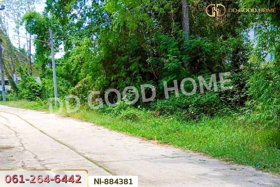 ที่ดินกวนวัน 251.5 ตร.ว. หนองคาย ใกล้วัดพระไชยเชษฐา-8