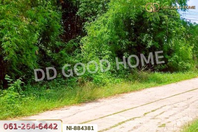 ที่ดินกวนวัน 251.5 ตร.ว. หนองคาย ใกล้วัดพระไชยเชษฐา-7