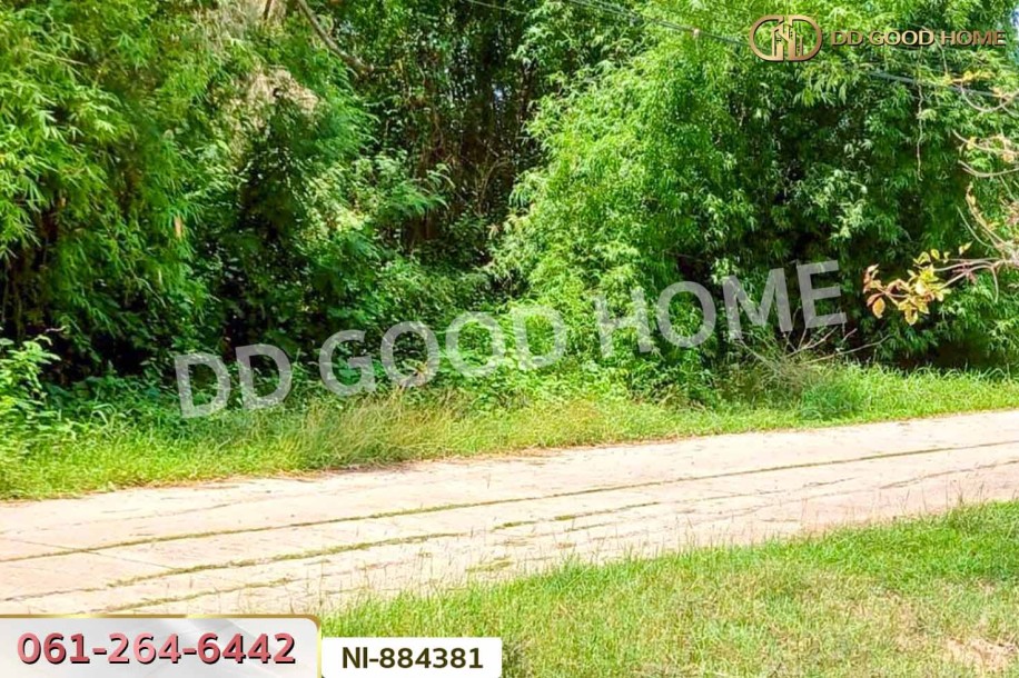 ที่ดินกวนวัน 251.5 ตร.ว. หนองคาย ใกล้วัดพระไชยเชษฐา-6