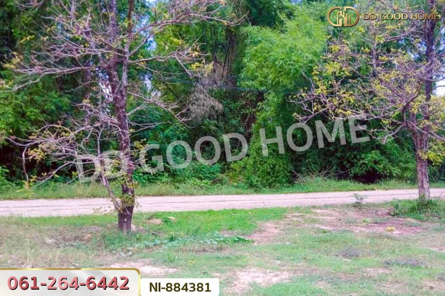 ที่ดินกวนวัน 251.5 ตร.ว. หนองคาย ใกล้วัดพระไชยเชษฐา-5