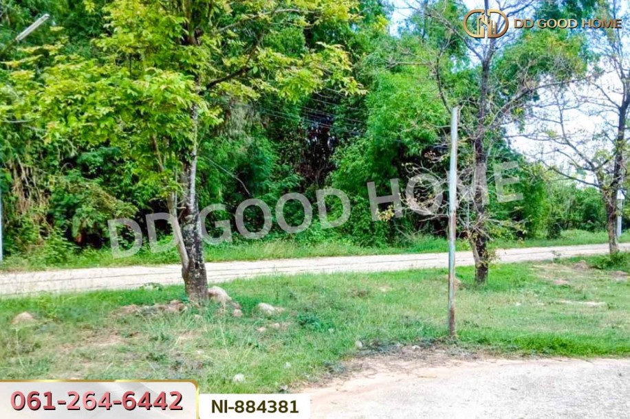 ที่ดินกวนวัน 251.5 ตร.ว. หนองคาย ใกล้วัดพระไชยเชษฐา-4