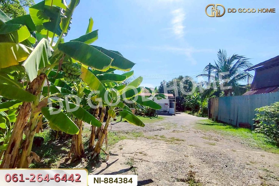 ที่ดินทวีวัฒนา 93.9 ตร.ว. ซ.พุทธมณฑล 27 ใกล้พุทธมณฑล สาย 2-4